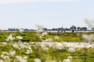 Joowandeltocht 2019 @ Langs het Kerkje Sandfirden